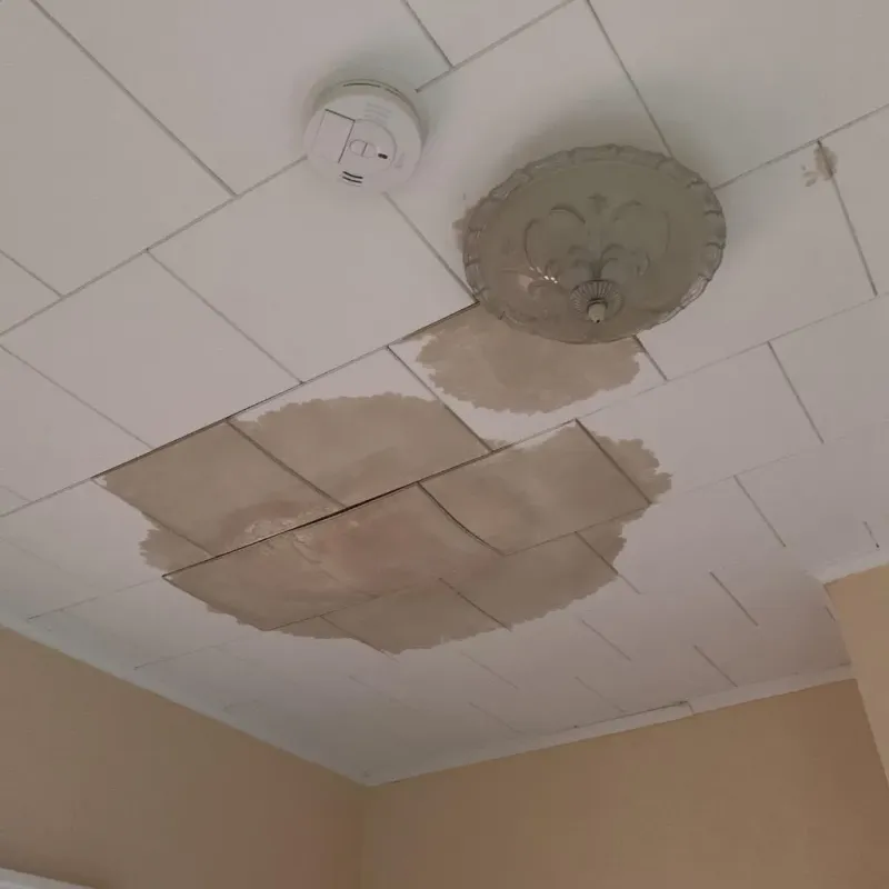 Ceiling Water Damage Repair in Hadley, MA