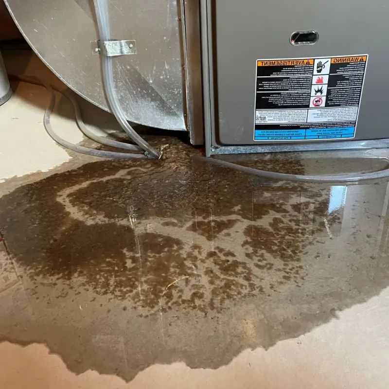 Pipe Burst and Leak Restoration in Hadley, MA